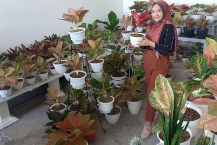 Ekspor Tanaman Hias Indonesia Capai Rp153 M Selama Pandemi